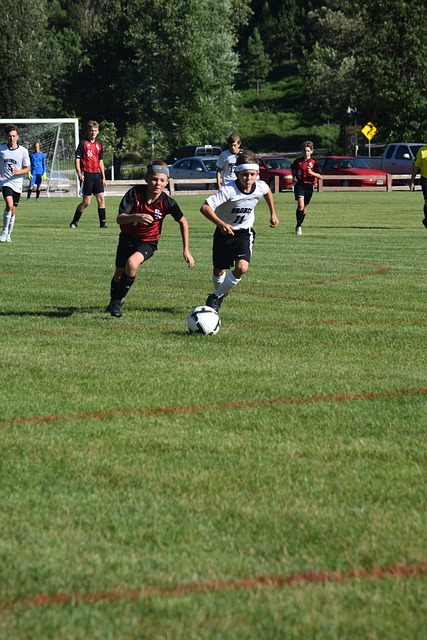 冬季活动如 冬季活动如