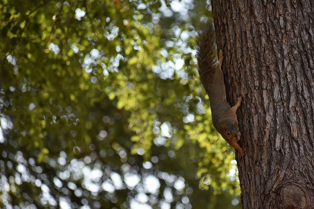 一个案例 一个案例