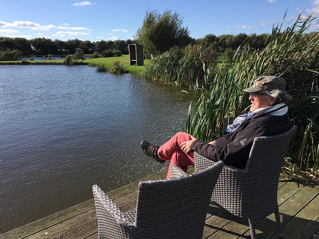 数据显示 数据显示