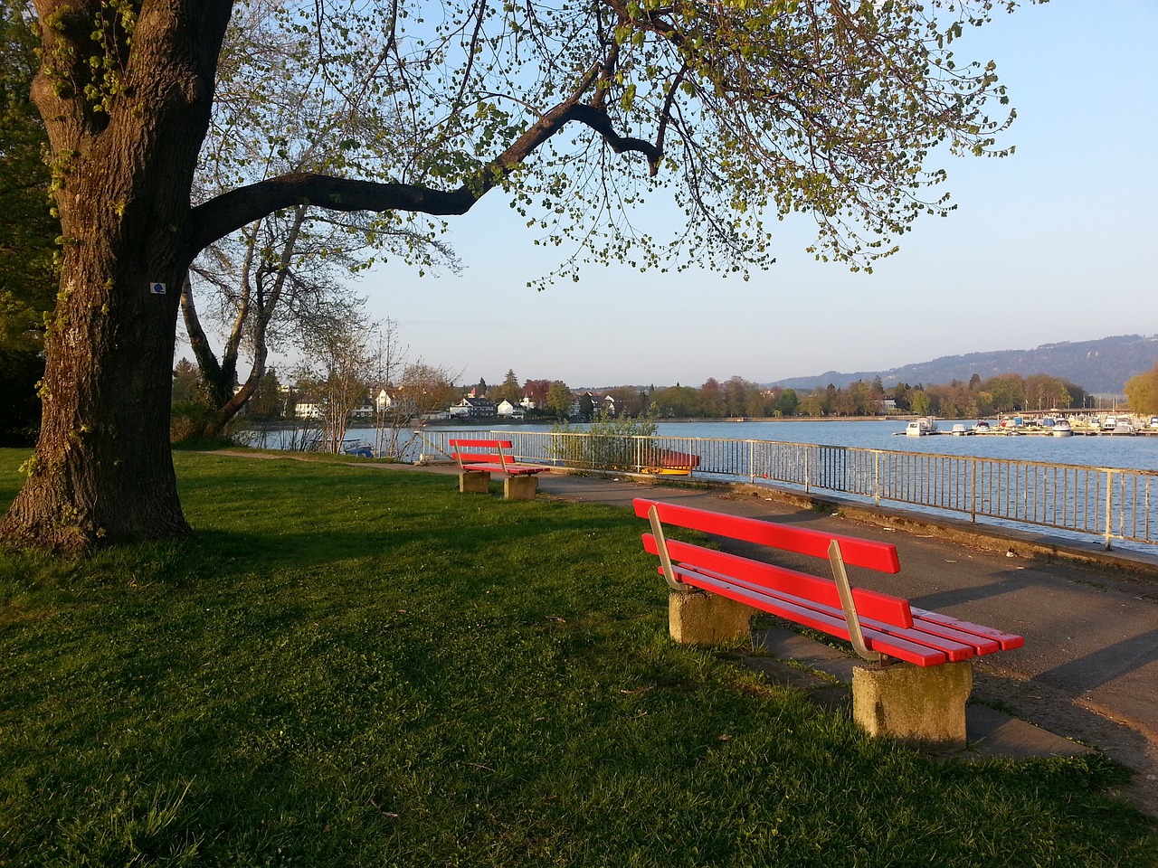 相比之下 相比之下