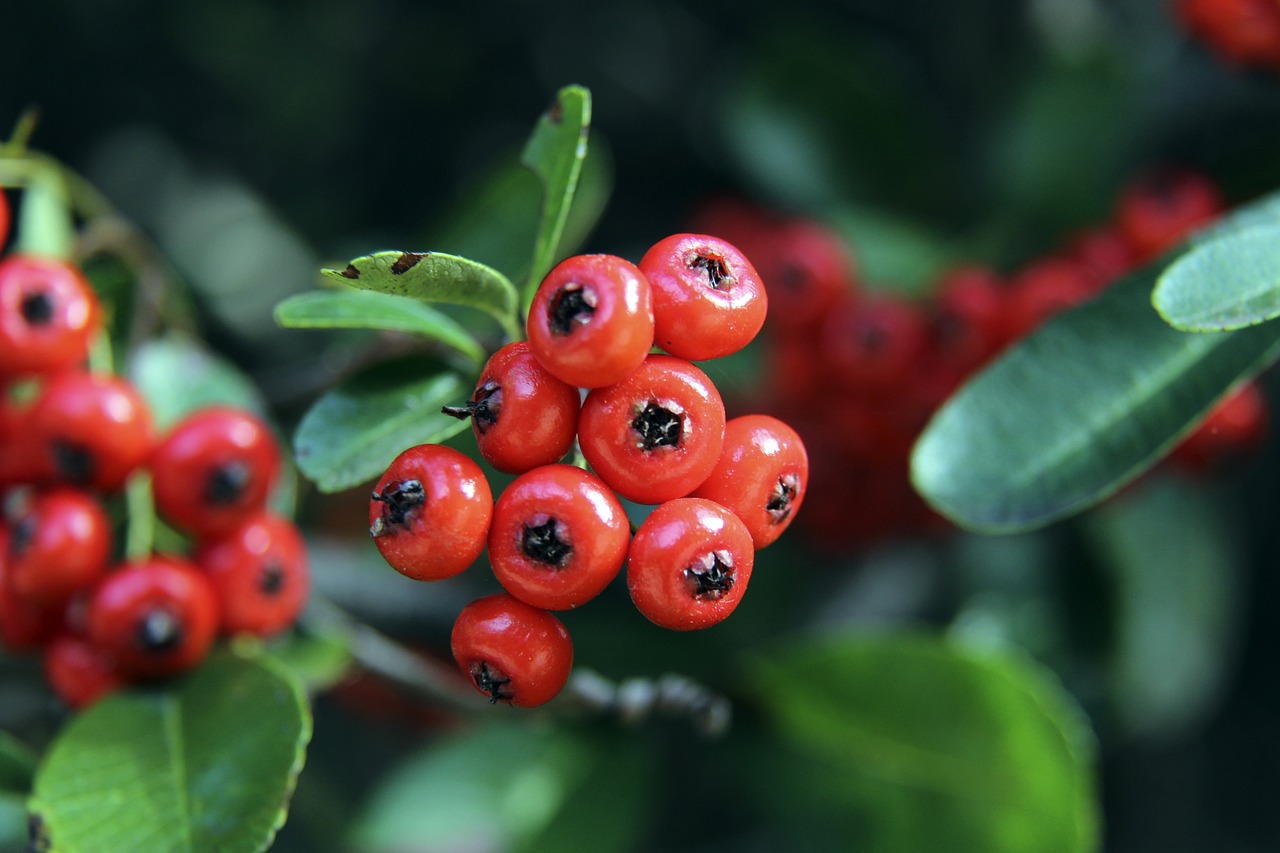 金愈加有利 金愈加有利